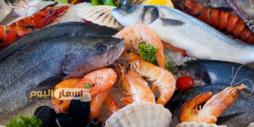 Photo of أسعار السمك في سوق العبور 2024 وفي محافظات جمهورية مصر العربية اليوم