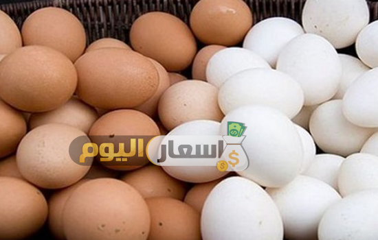 Photo of سعر البيض اليوم محدث