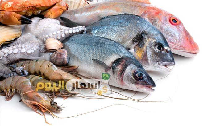 Photo of اسعار الاسماك فى مصر اليوم الاربعاء 27-9-2023