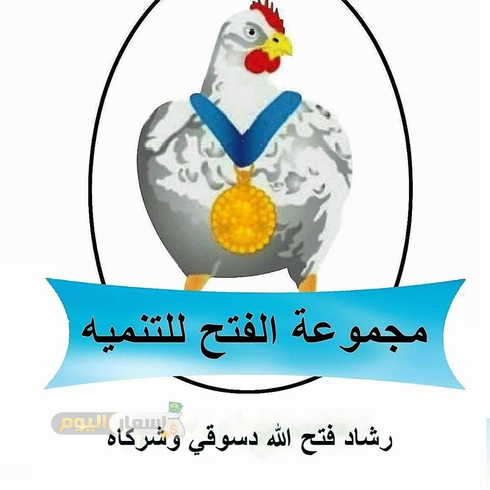 Photo of اسعار علف الفتح اليوم