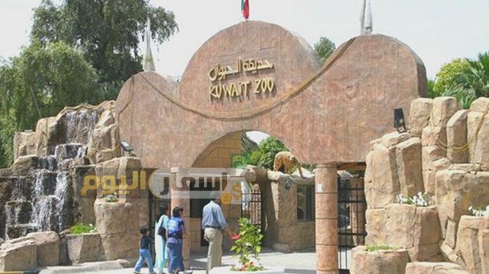 Photo of أسعار تذاكر حديقة الحيوان بالكويت 2023