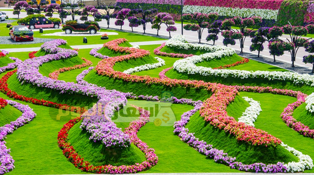 Photo of رسوم دخول حديقة الزهور في دبي 2023