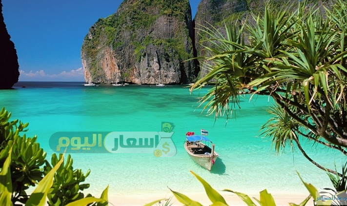 Photo of تكلفة السفر إلى تايلاند من مصر 2024