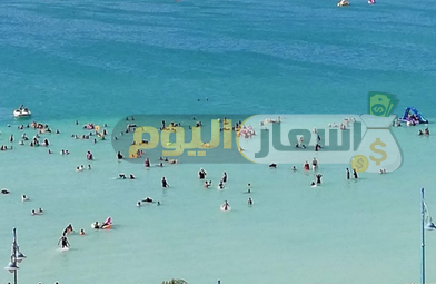 Photo of أسعار دخول شاطئ النخيل بمطروح 2024