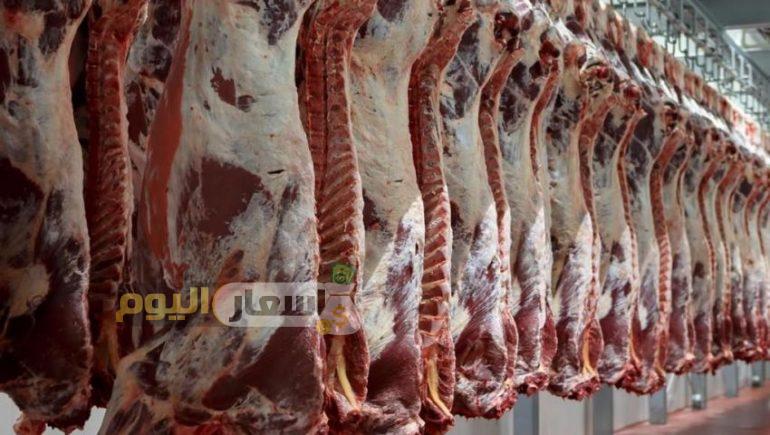Photo of أسعار اللحوم الحية اليوم تحديث ديسمبر 2023-سعر الكوارع اليوم 2023