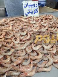 Photo of اسعار السمك اليوم بالكويت 2024 محدث يوميا
