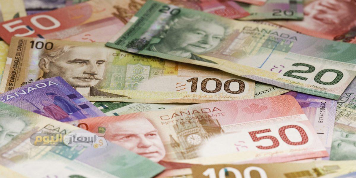 Photo of تكلفة الدراسة في كندا بالريال السعودي 2024
