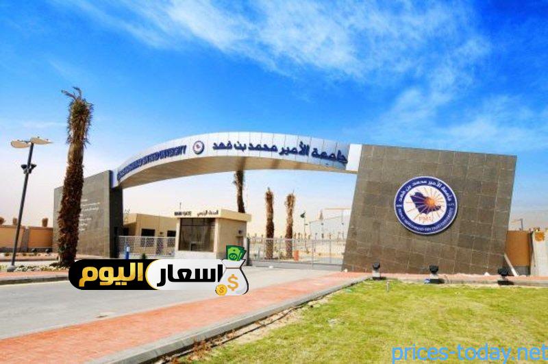 Photo of رسوم جامعة الأمير محمد بن فهد 2023 -1445