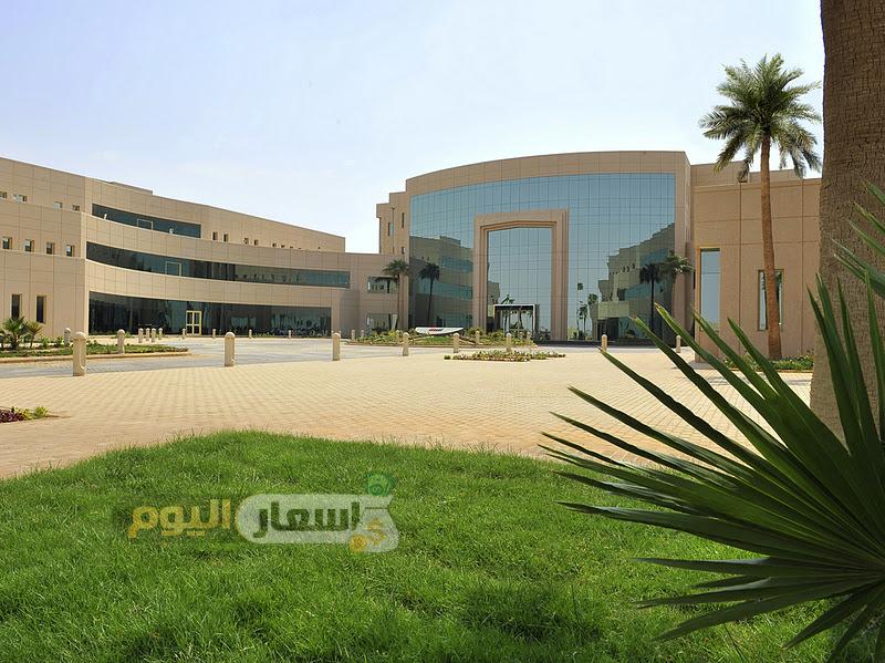 Photo of رسوم جامعة اليمامة 2024
