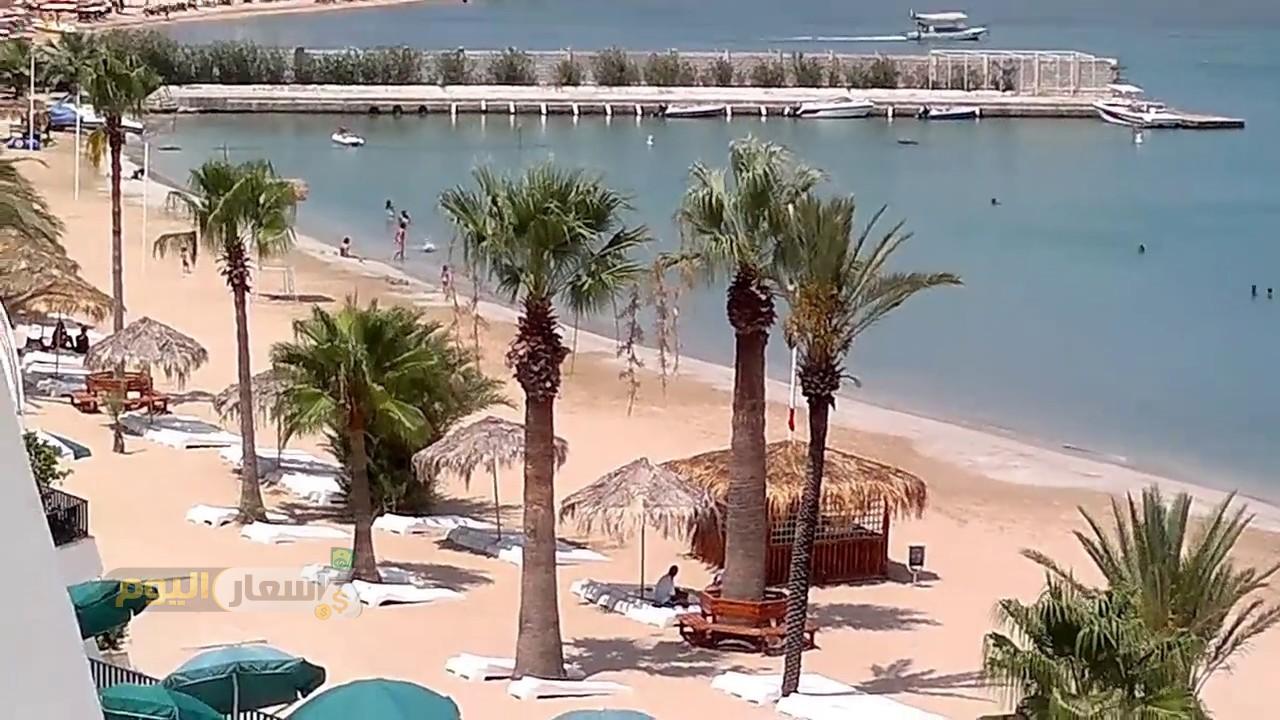 Photo of منتجع الشاطئ الأزرق اللاذقية اسعار 2024