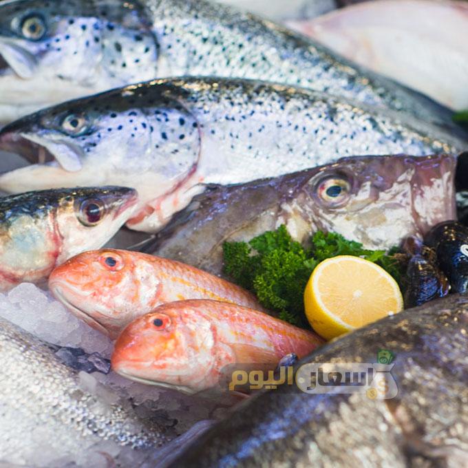 أسعار السمك اليوم في جدة 2021