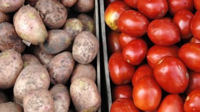 Photo of اسعار البطاطس والطماطم اليوم محدث يوميا 2024
